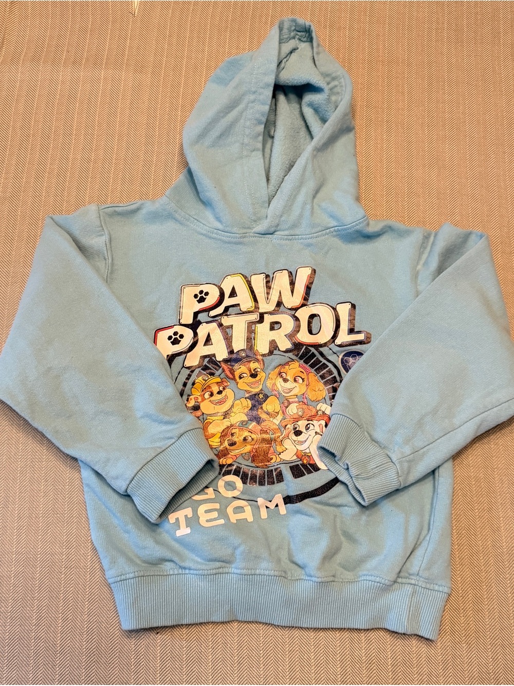 Paw Patrol Nickelodeon Boys 4T Blue Graphic Hoodie Go Team